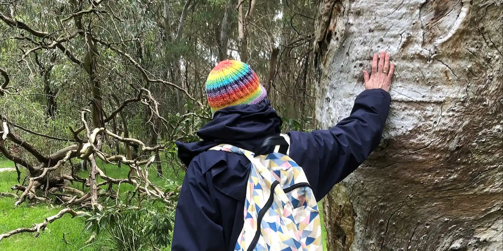 1.5 hour Nature Therapy Gresswell Forest