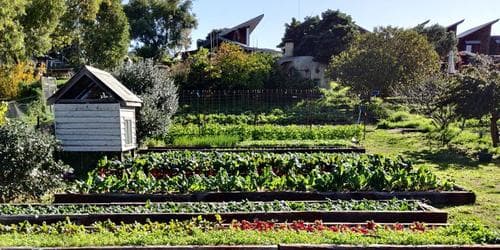 Complete Urban Farmer