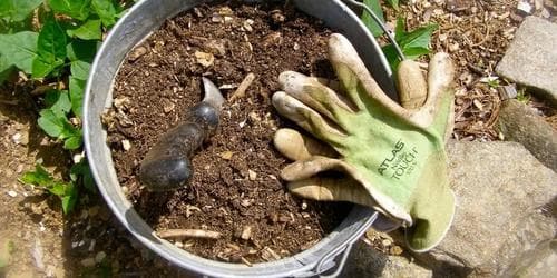 Healthy Soil for Gardeners