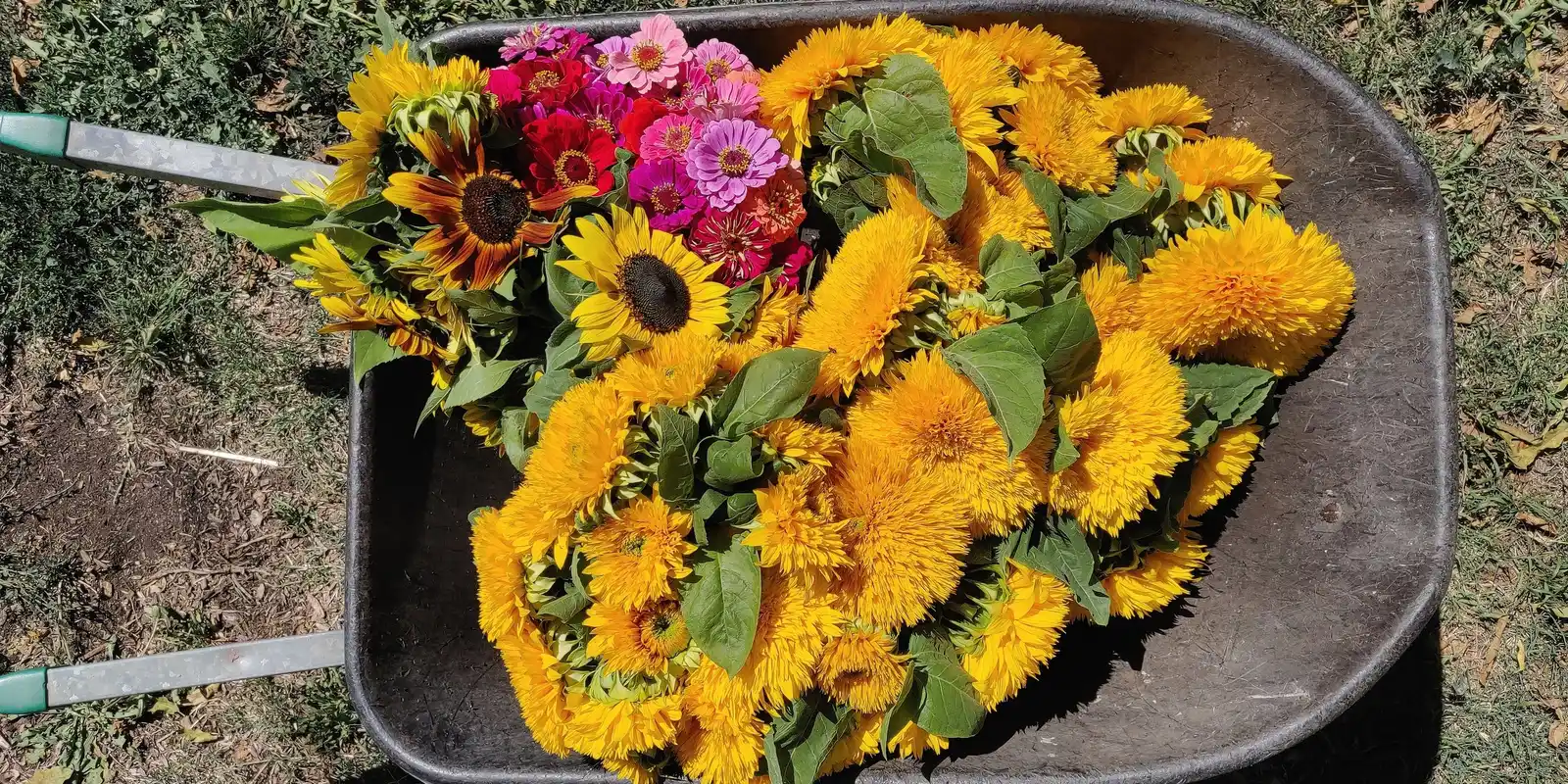 CERES Queer Weed Dating April 2026