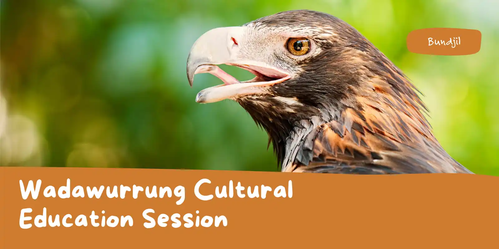 Wadawurrung Cultural Education Session - The Basin, Drysdale