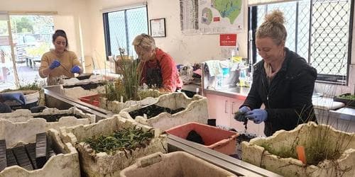 Come and try propagation