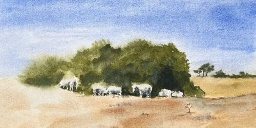 Your Local Landscape in Watercolour - Studio Workshops