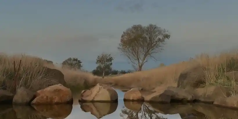 The Melbourne Arboretum - Information Day