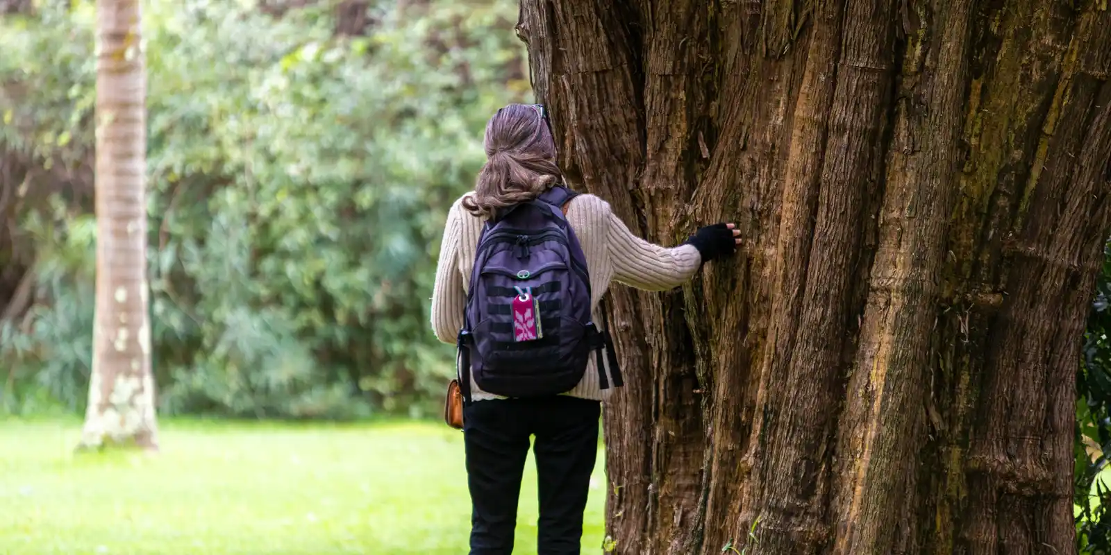 Maranoa Botanic Gardens Celebration Nature Journaling Workshop 1.30pm