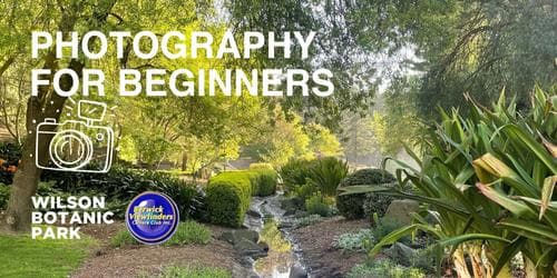 Photography for Beginners
