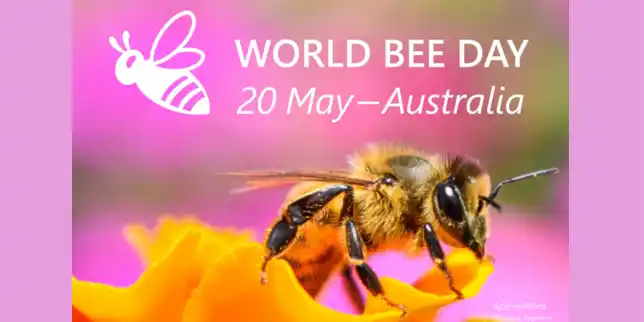 World Bee Day Event