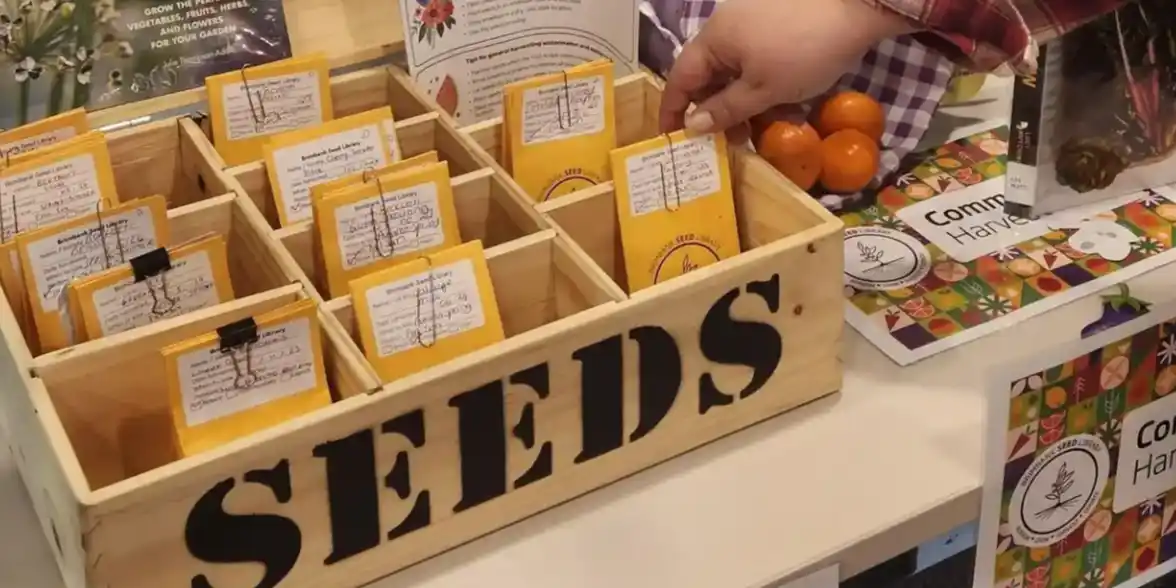 How to Save Seeds