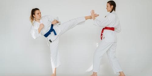 Come and Try Taekwondo (ages 5-8)