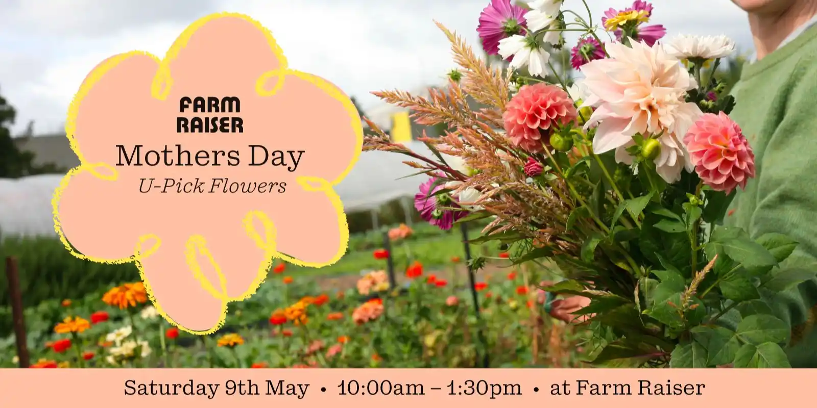 🌼 U-Pick Flowers - Mothers Day Special 🌼
