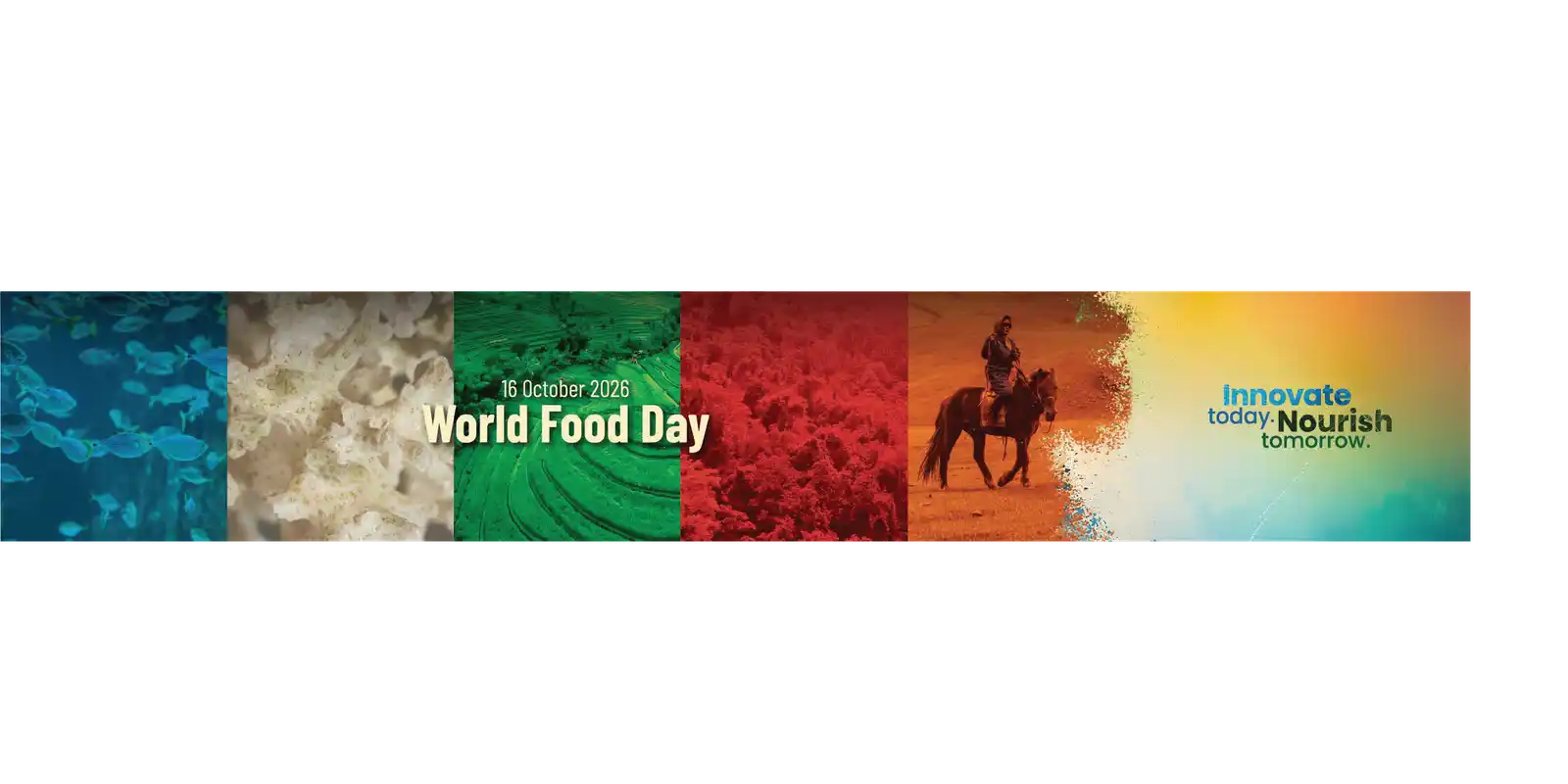 Innovate today. Nourish tomorrow: Exploring LISAF’s Research