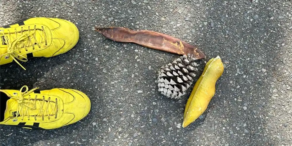 Connect, create, companion - April 2026