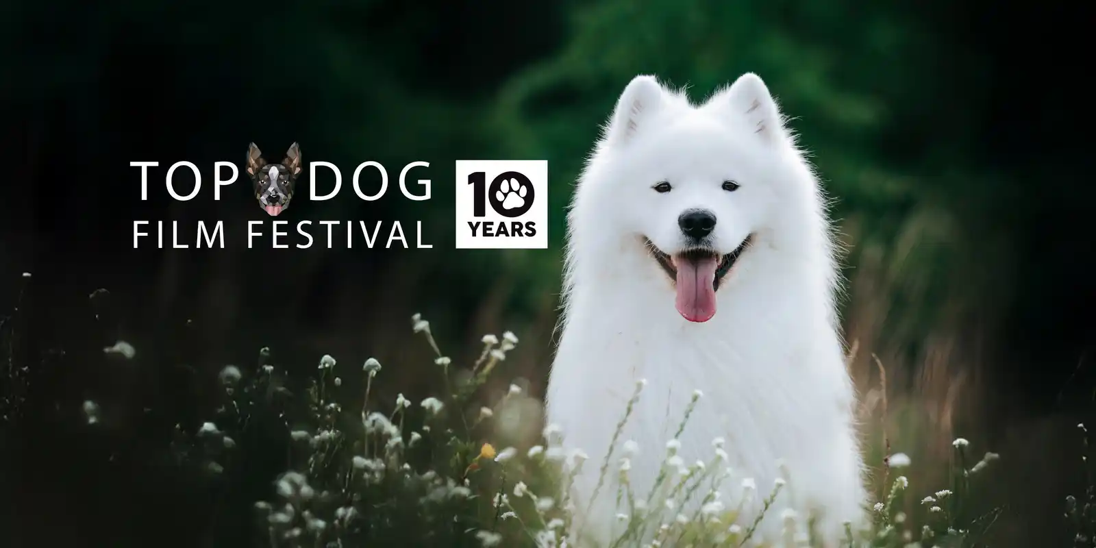 Top Dog Film Festival 2026 - Melbourne Astor Tues 25 Aug 7pm