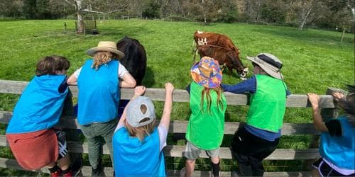 Friday Farm Entry With Guided Tour @ 1:30pm