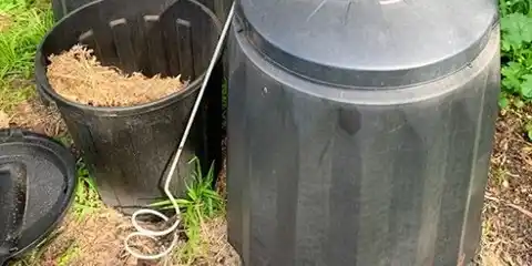 Home Composting for Beginners