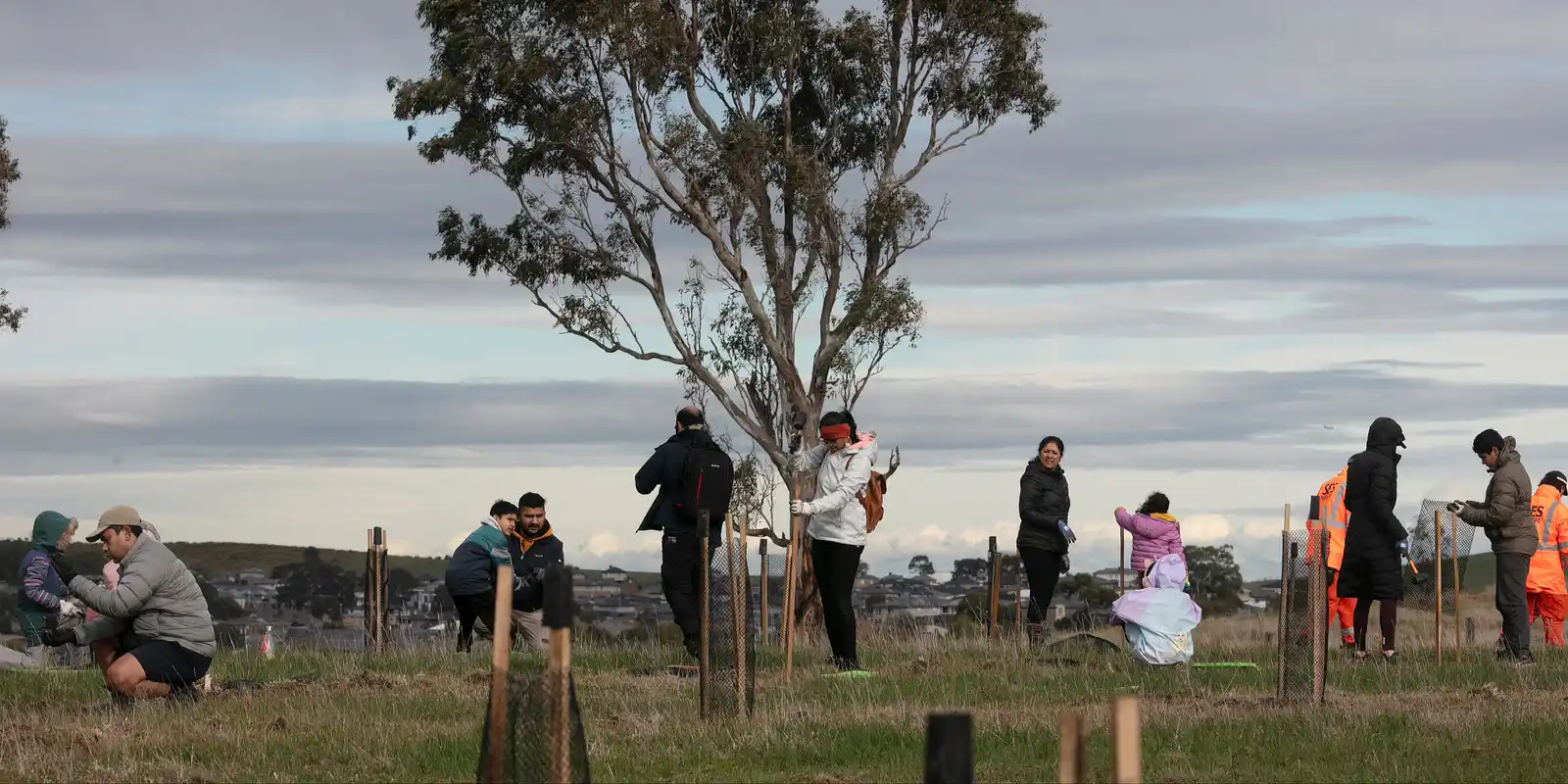 National Tree Day Planting Events 2026