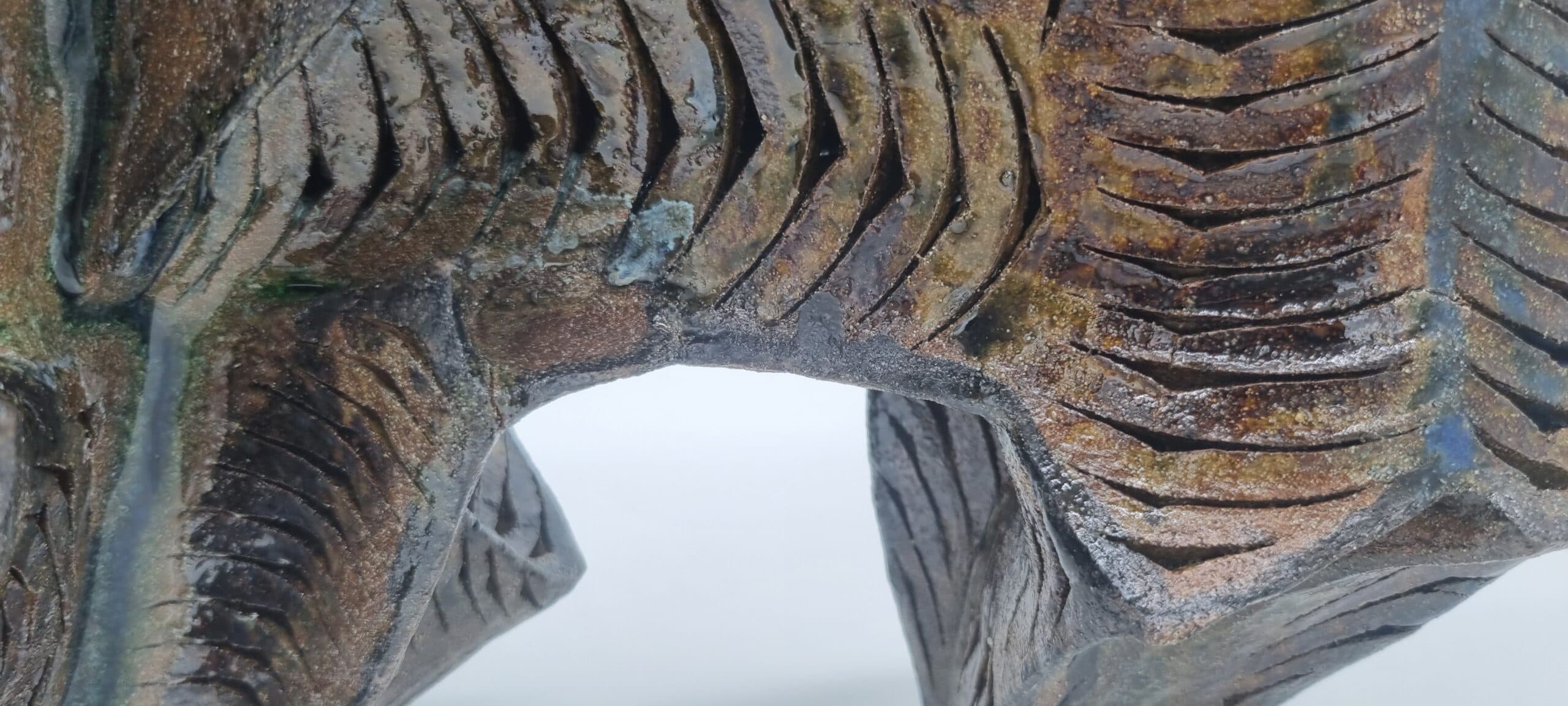 Nocturnal | Jooyun Lim