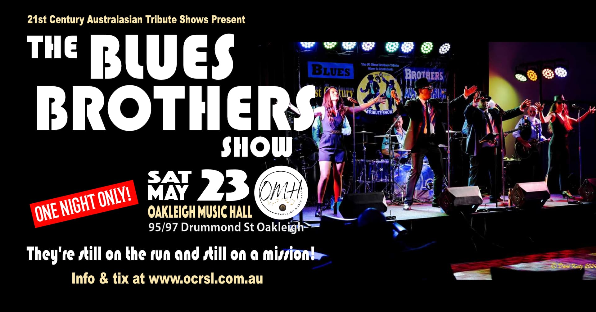 THE BLUES BROTHERS SHOW