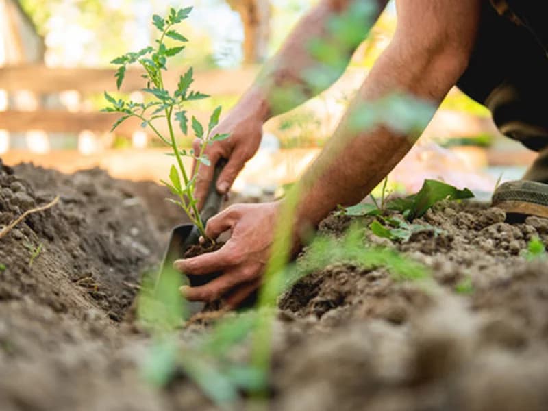 GROUNDED – Therapeutic Horticulture Program