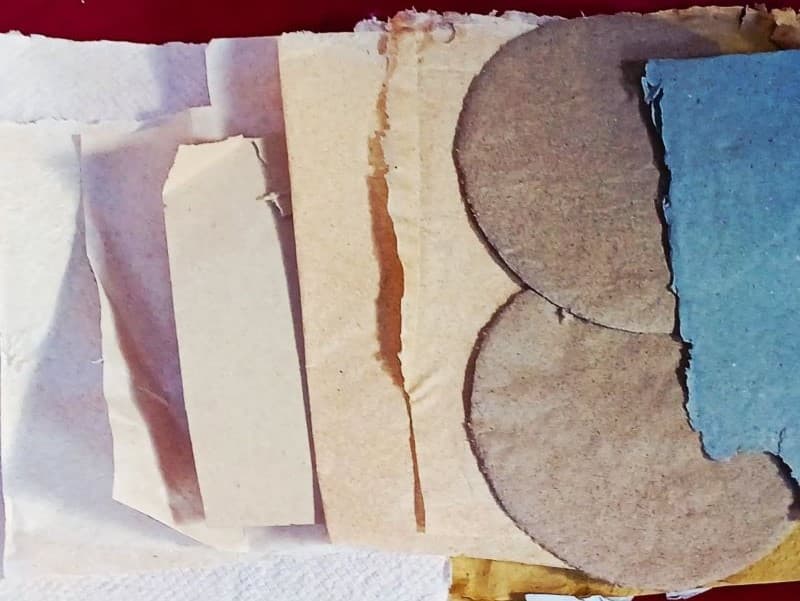 Creating & Recycling with Fungi