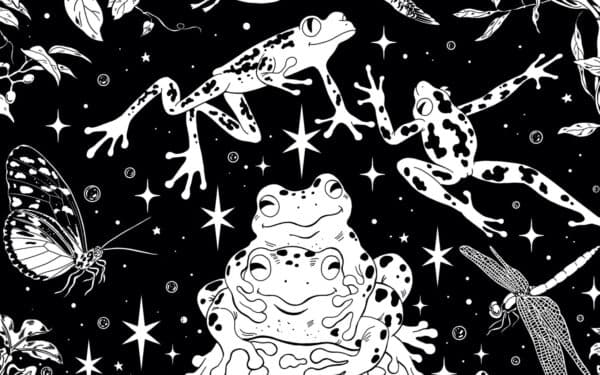 TILDE: TRANS AND GENDER DIVERSE FILM FESTIVAL 2026