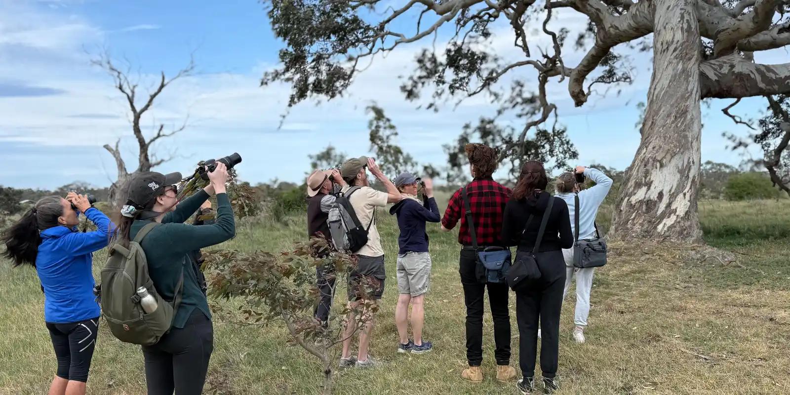Meet the Woodland Birds of Wollert