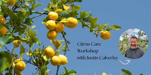 Citrus Care Workshop with Justin Calverley