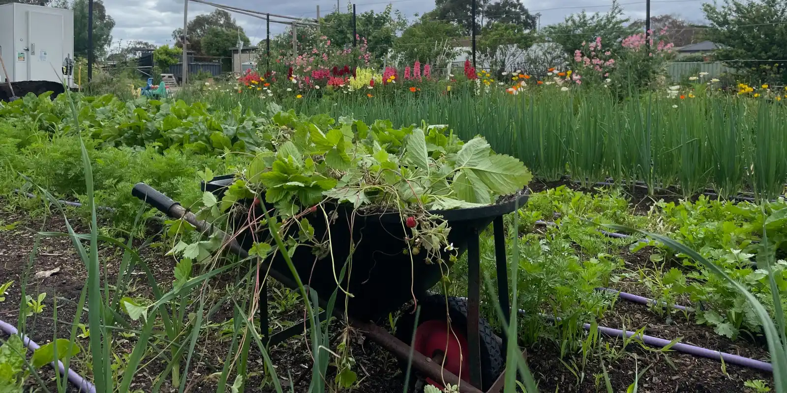 Queers in the Garden September Workshop