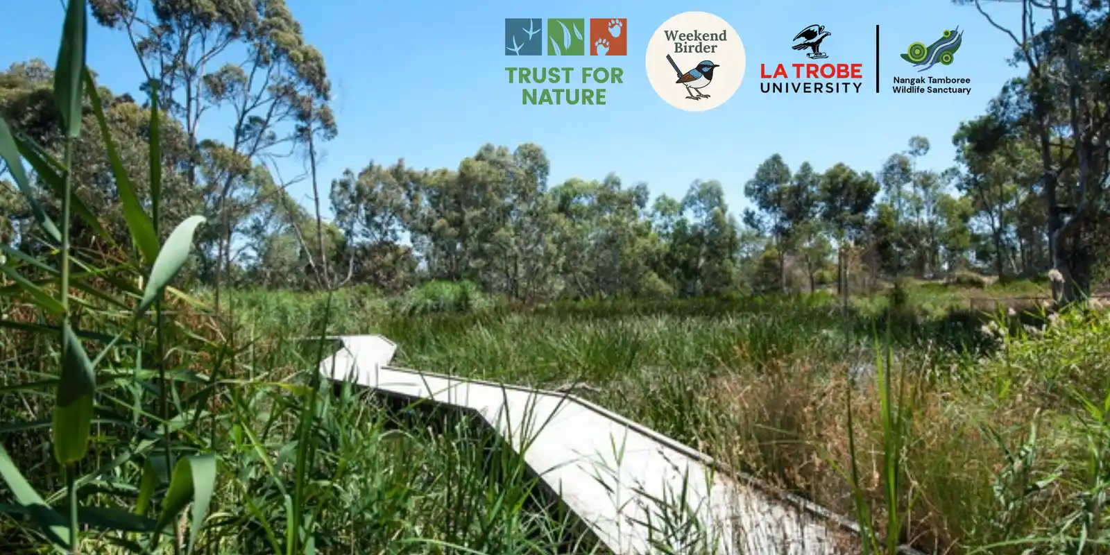 A Morning of Birds, Bushland & Conservation at Nangak Tamboree