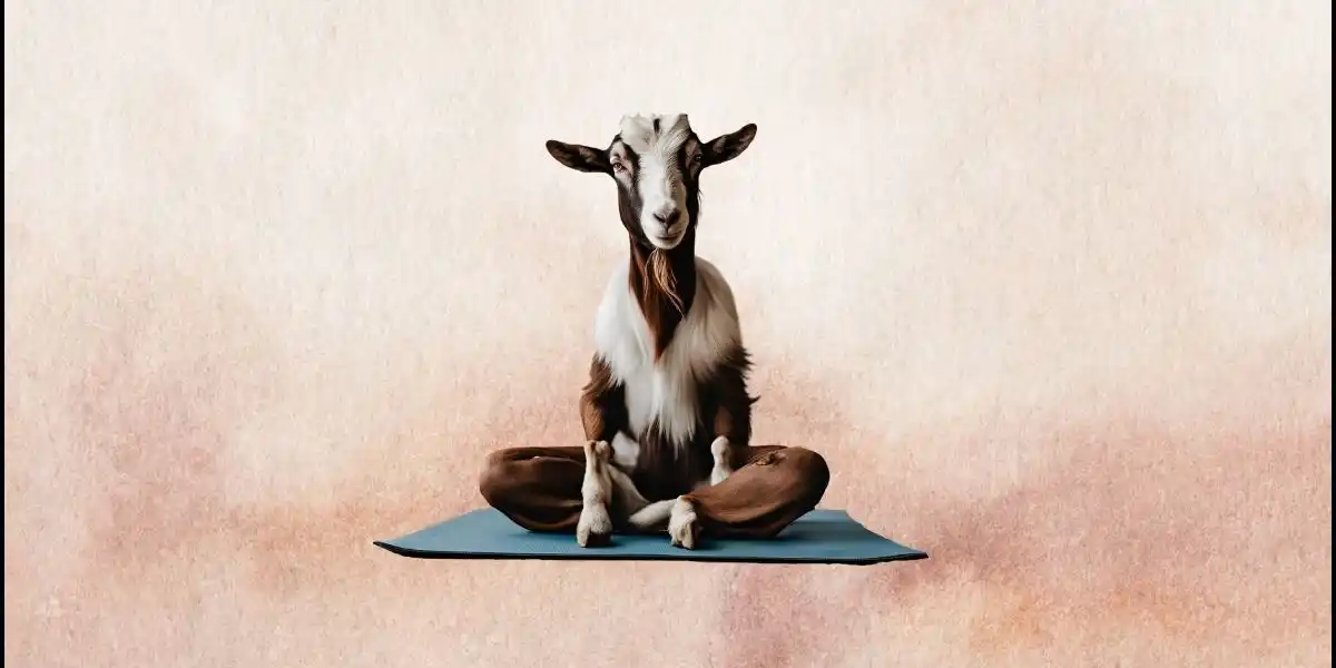 GOGA - Goat Yoga at Edendale