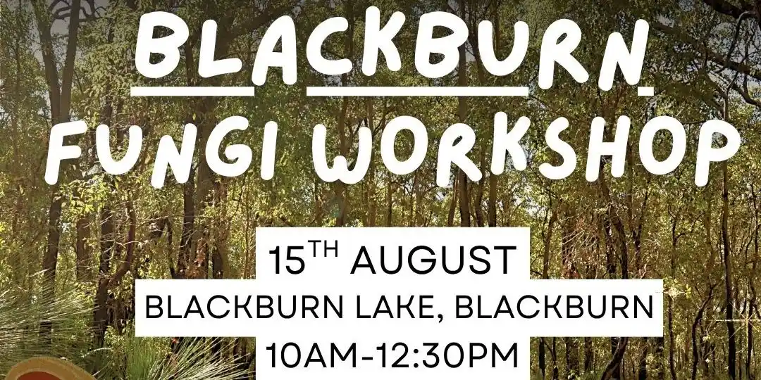 Blackburn Fungi walkshop