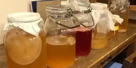 Kombucha workshop
