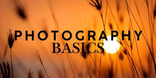 Photography Basics (Term 3, 2026)