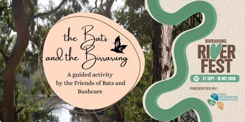 The Bats and the Birrarung
