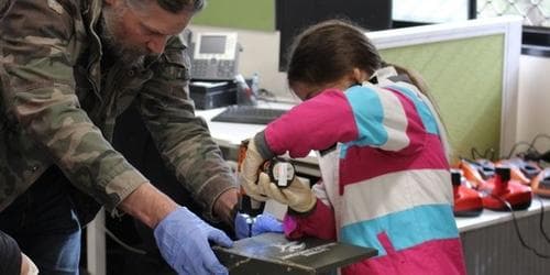 Father's Day Nesting Box Workshop