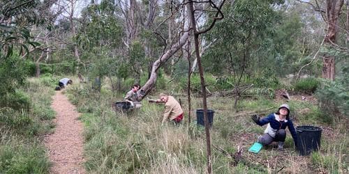Community volunteering