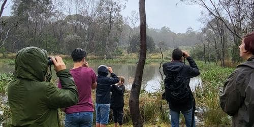Intro to Birding