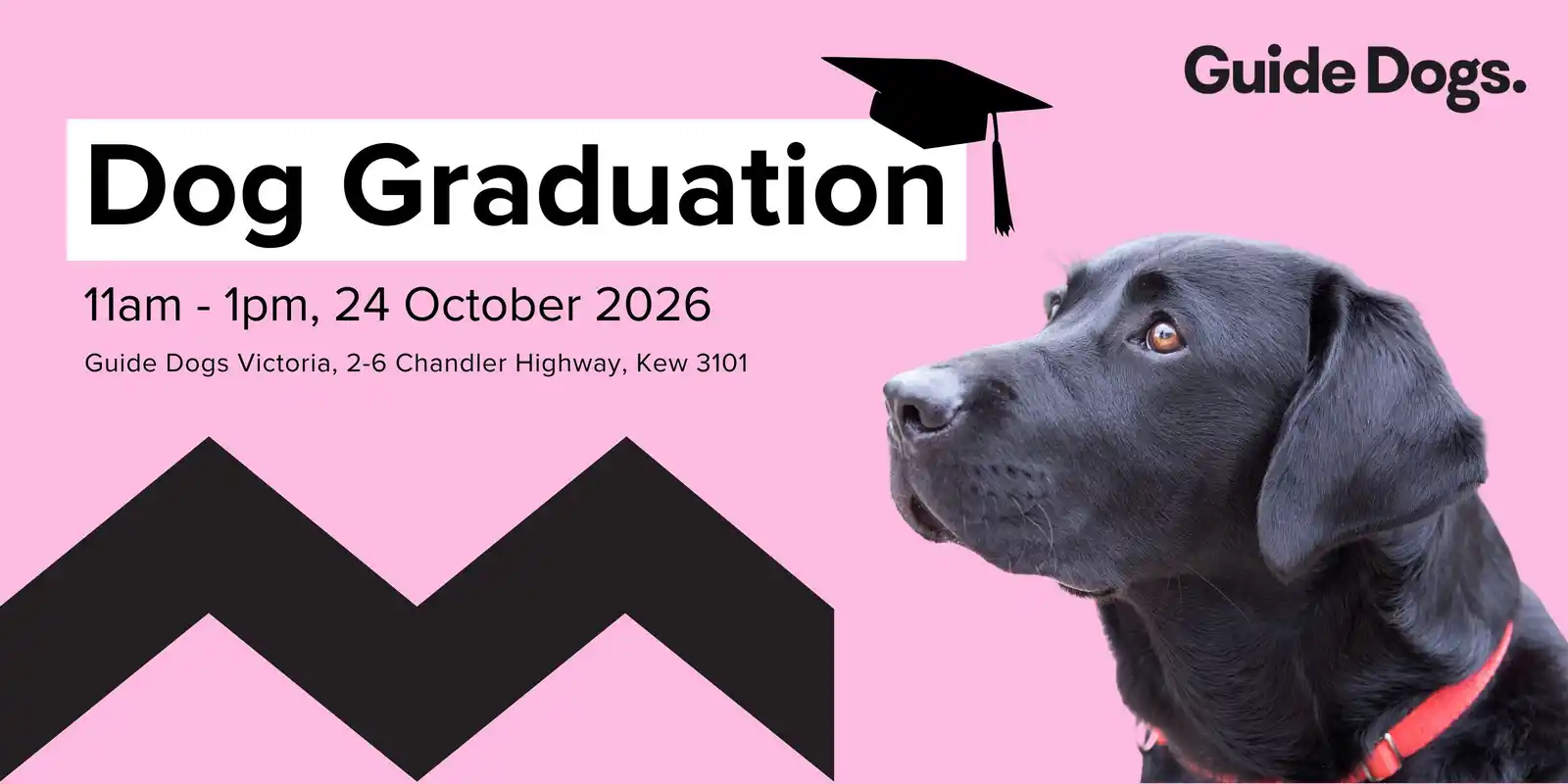 Guide Dog Victoria Graduation - October