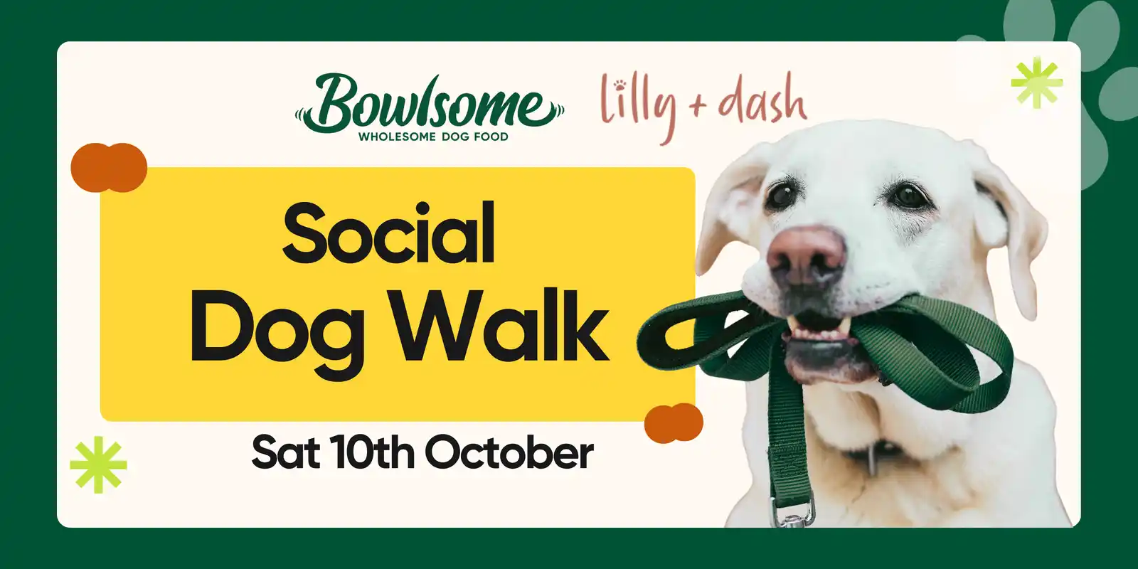 Social Dog Walk