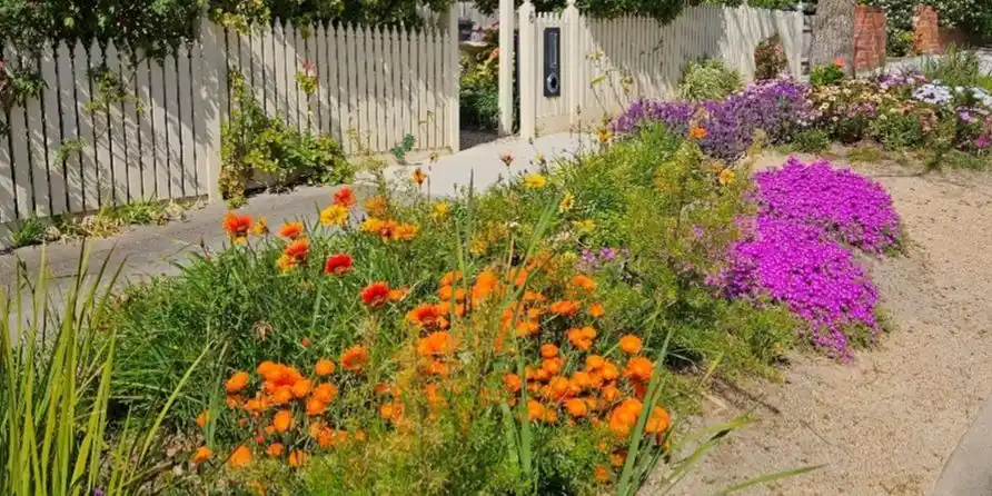 Nature strip garden design workshop