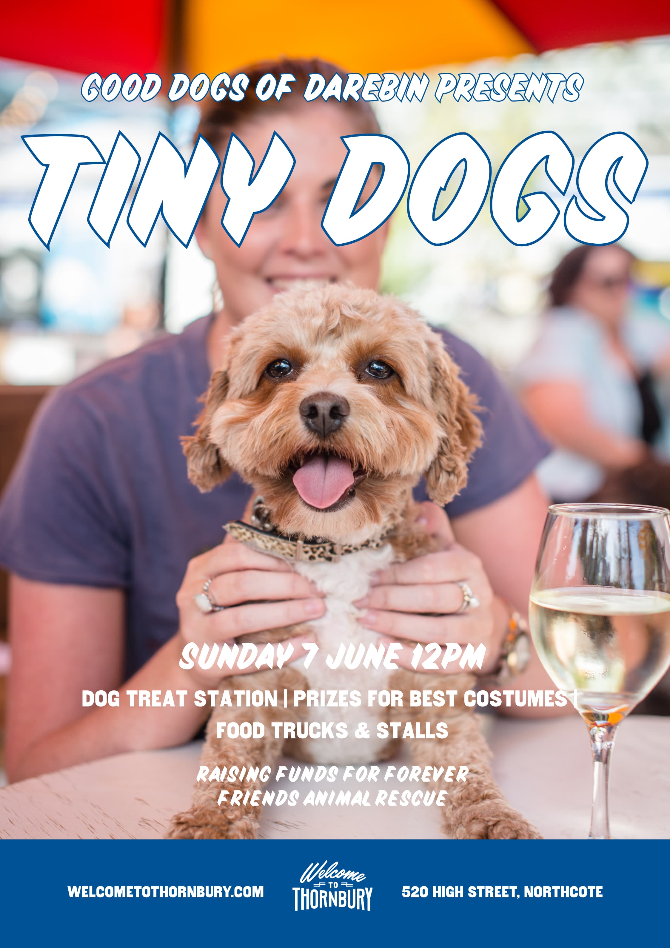 GOOD DOGS OF DAREBIN TINY DOGS