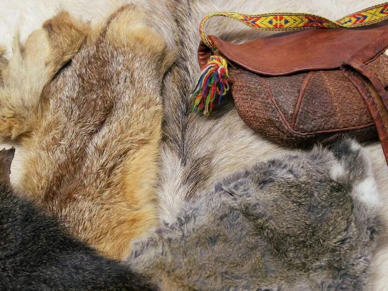 Traditional Hide Tanning