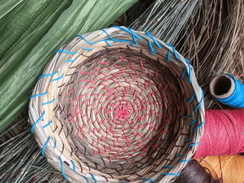 Basketry: Stitched and Coiled
