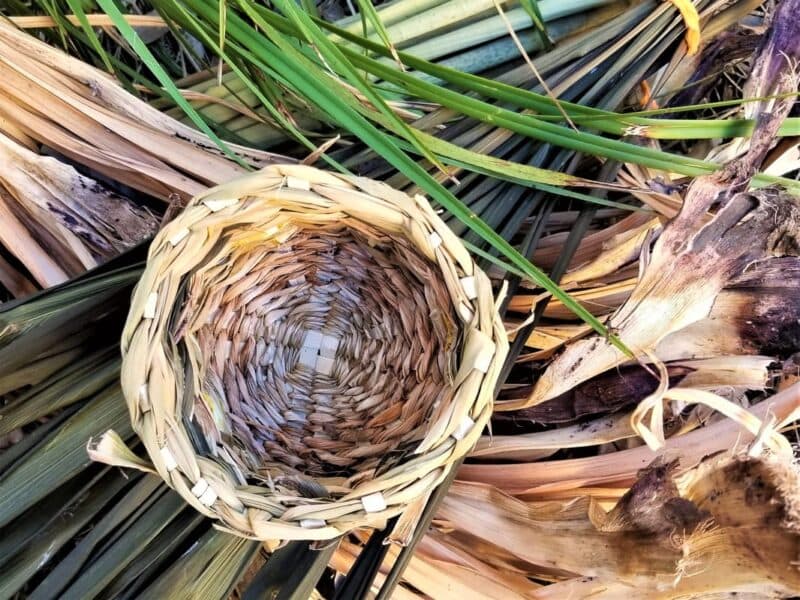 Basketry: Twined