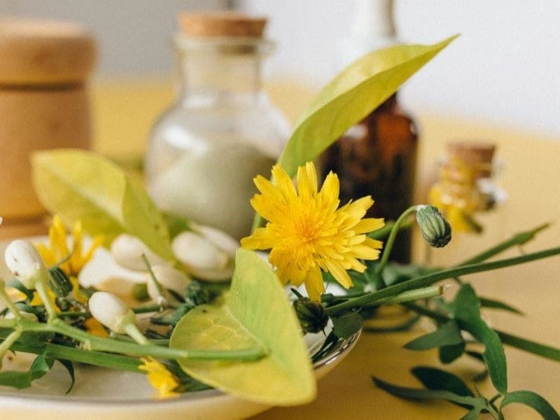 Wildcrafted Medicine