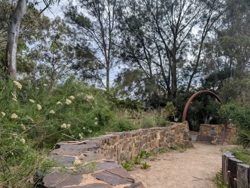 Unfurl: Forest Therapy Walk