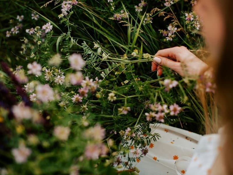 Seasonal Wreath making