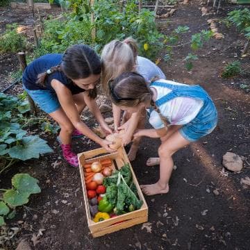 How to Grow Healthy Food