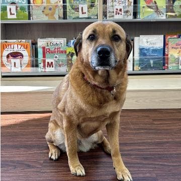 Reading Dogs with Nala