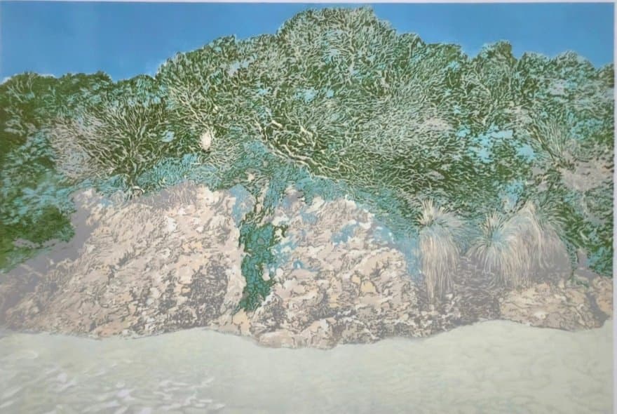 Winsome Spiller: Seeing Place